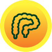 Gastrointestinal Active