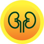 Nephropathy Active