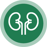 Nephropathy Inactive