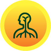 Autonomic Neuropathy Active