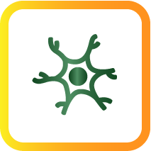 Nervous System