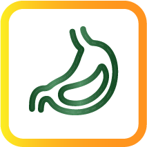 Digestive System